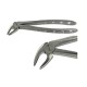 English Pattern Forceps